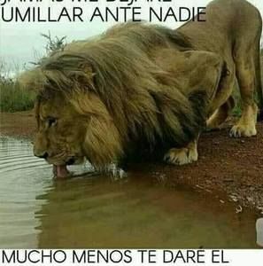 Meet your Posher, Gerardo